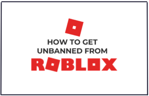 Read more about the article How to get Unbanned from Roblox?